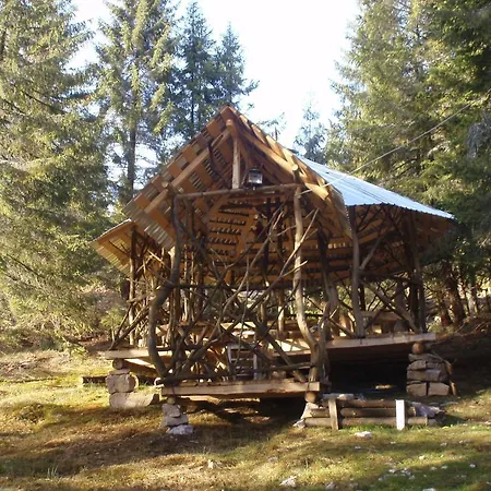 Casa Floare De Colt * Vártop